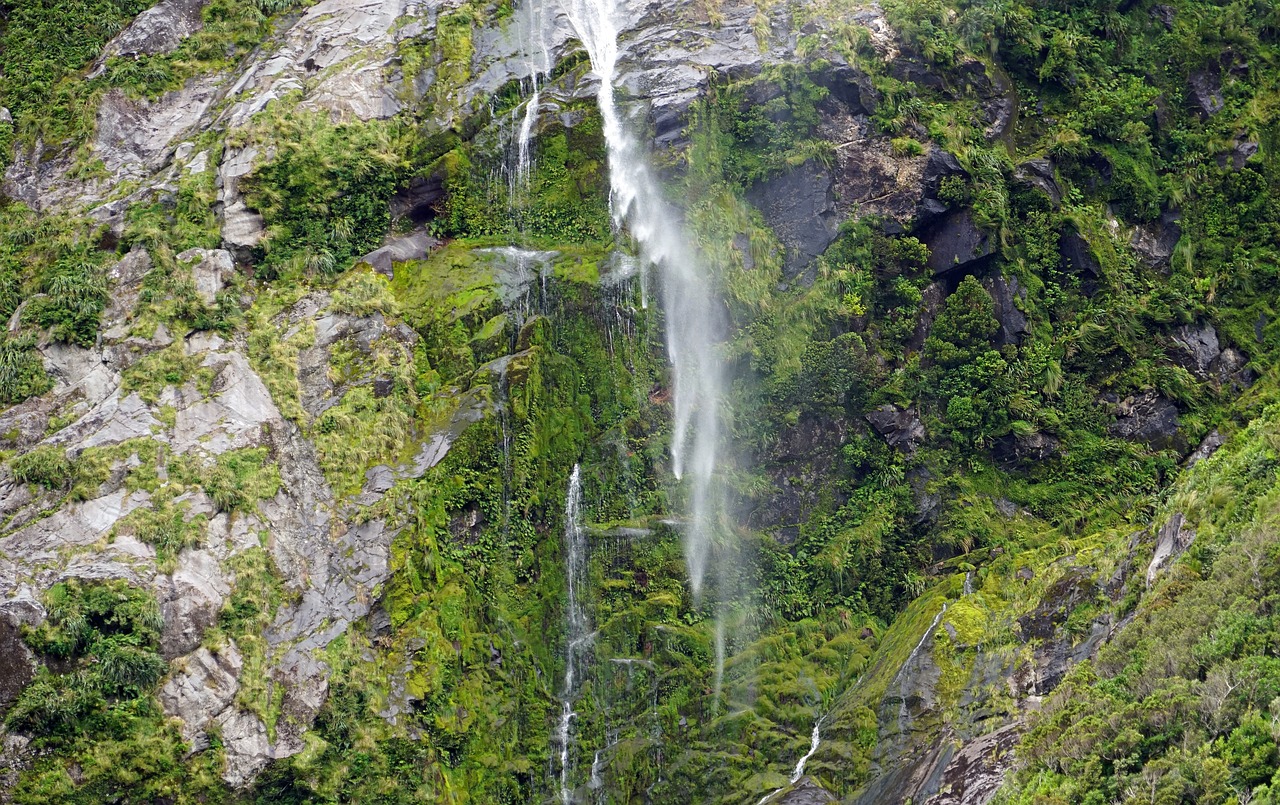 The Hidden Wonders of New Zealand’s West Coast